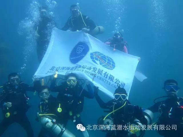 诱捕小浣熊