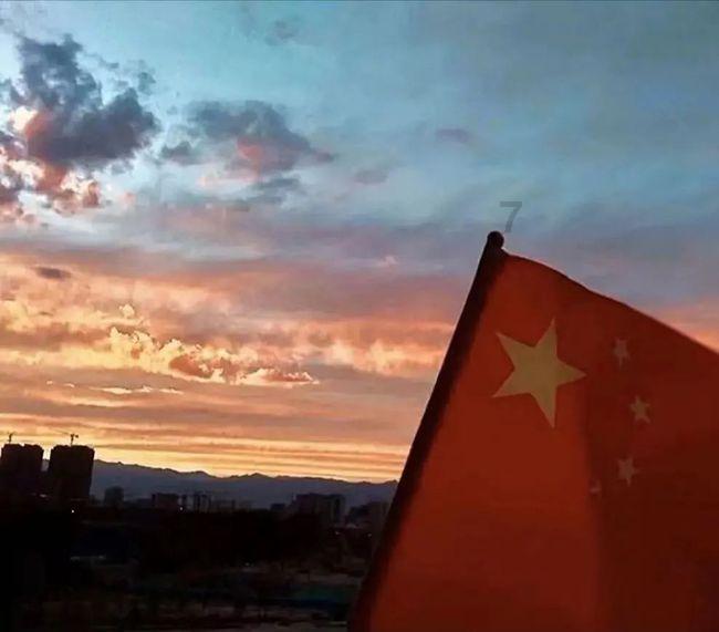 有线耳机还能买?竹林鸟惊鸿,原始质感与高清音质的完美结合